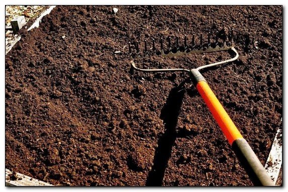 Огород который не нужно копать — высокие грядки: плюсы и минусы